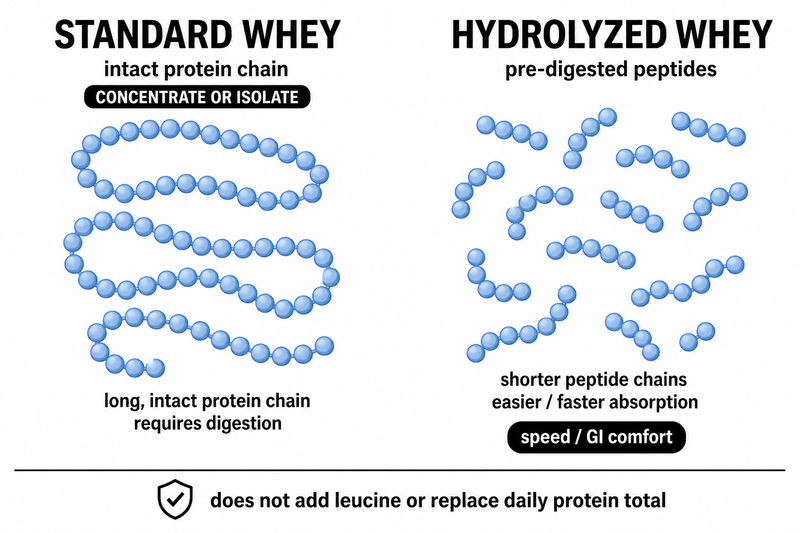 Hydrolyzed Whey vs Standard Whey: When Hydrolysis Matters